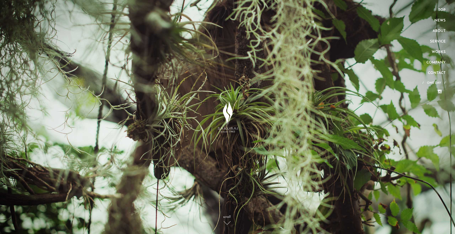 スクリーンショット 2016-06-28 23.00.49